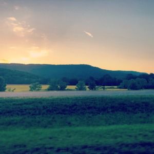 Meet your Posher, Cecily